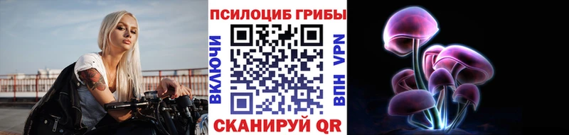 где купить наркотик  omg как войти  Галлюциногенные грибы мухоморы  Дербент 